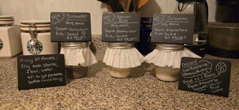 Gluten-Free Sourdough Starter (Easy 14-Day Step-by-Step Guide)