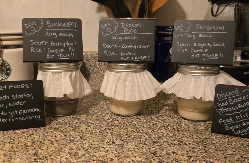 Gluten-Free Sourdough Starter (Easy 14-Day Step-by-Step Guide)
