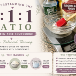 Ratios Featured Image